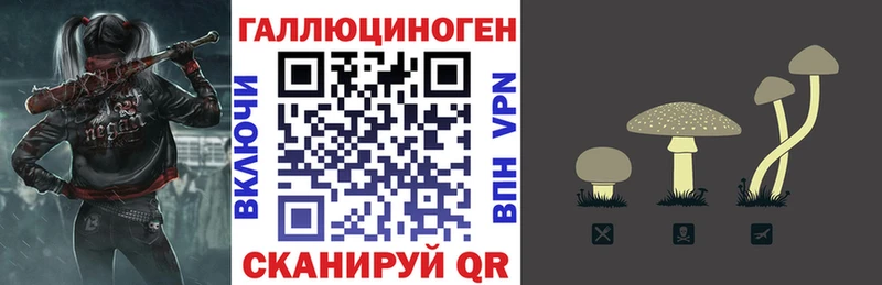 Галлюциногенные грибы прущие грибы  МЕГА вход  Ужур 